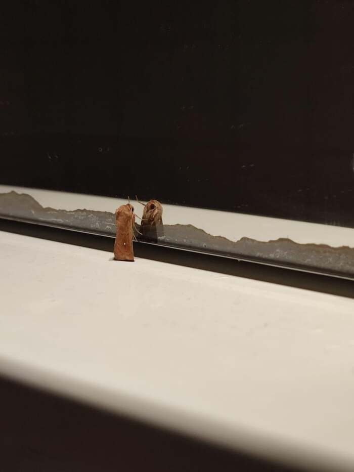 Одни ли мы во вселенной...