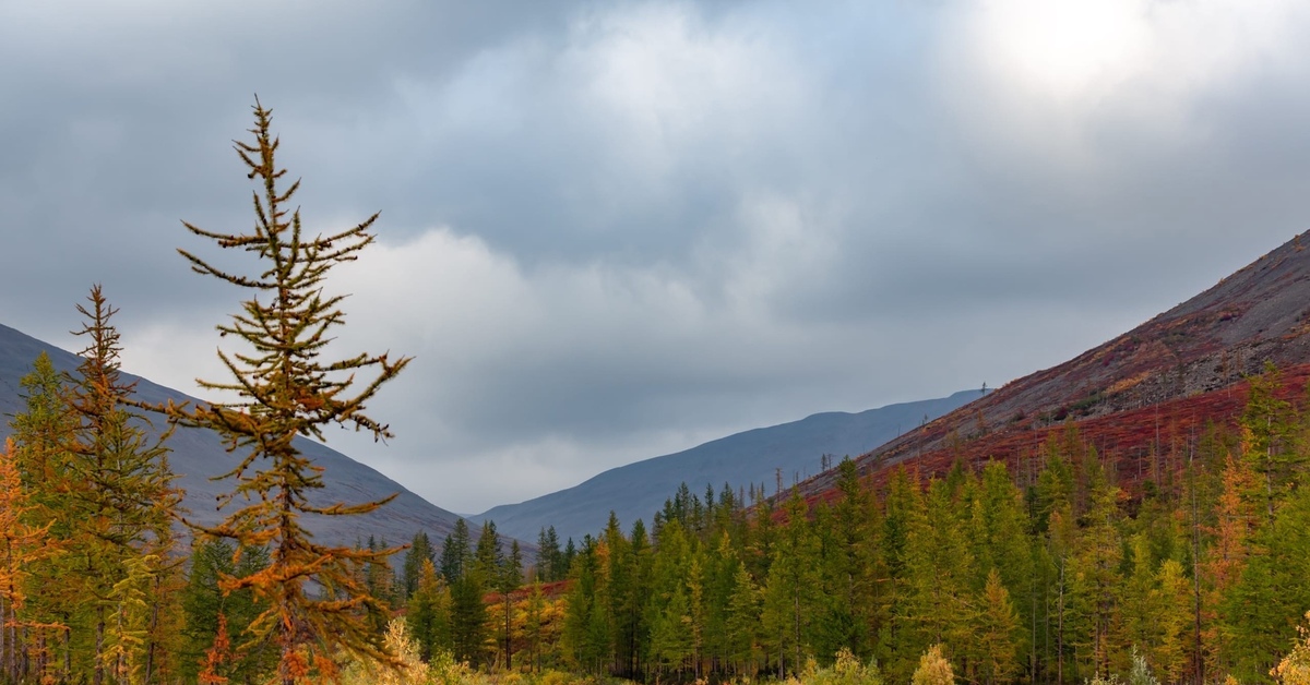 Путорана норильск