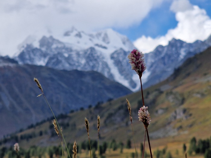 Алтай 20.08.2022