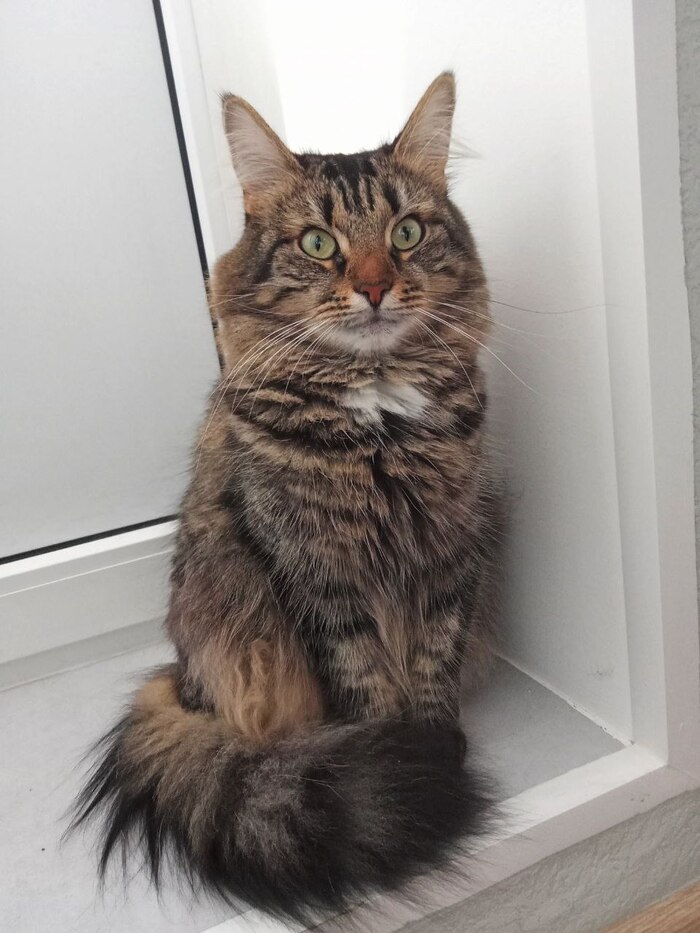 �� ������ ��� � ������������!