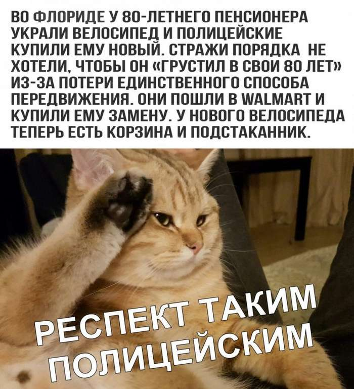 НАСТОЯЩИЕ ПОЛИЦЕЙСКИЕ!! | Пикабу