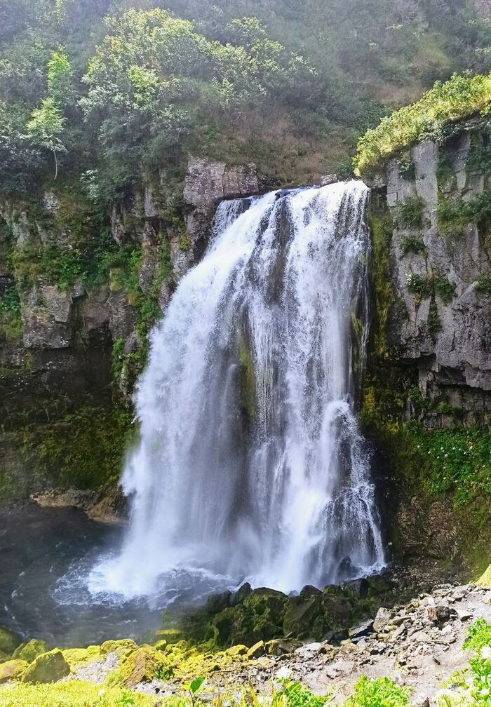 ������� ���������