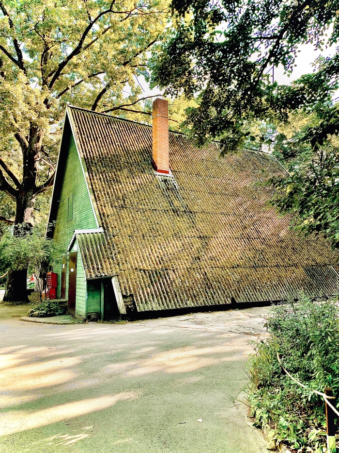 Чистим шифер КЕРХЕРОМ, красим его