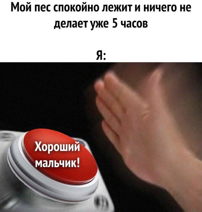 ����� ����� ���� ������