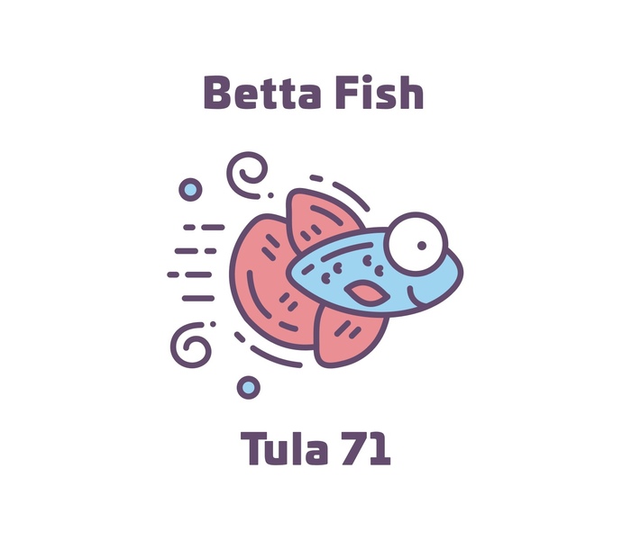 Betta Fish Tula71 RIP , , ,   , , ,  , ,  , 