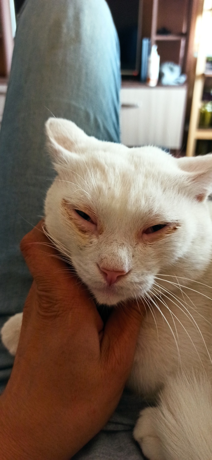 ����� ������ ����������