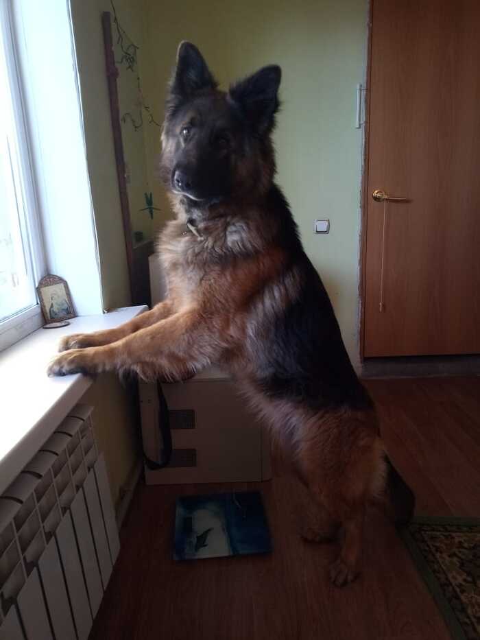 ���������� ������ [�������]