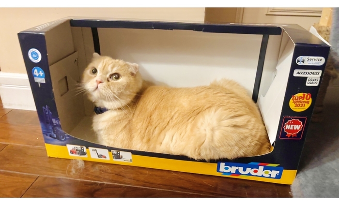 Что это за модель?