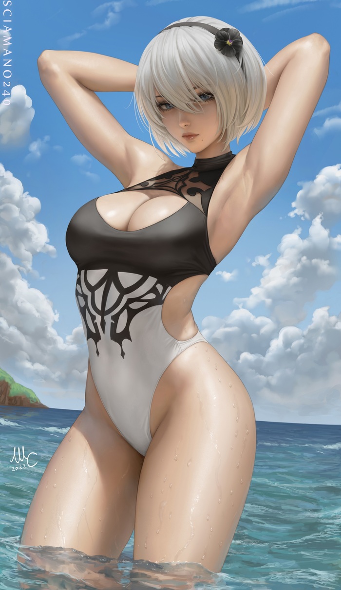 2B & 9S () , , Nier Automata, Yorha unit no 2 type B, Yorha unit no 9 type S, , ,  , Game Art, , , , ,  , , Sciamano240, 