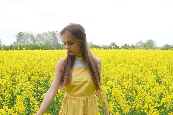 � �������� � ��������