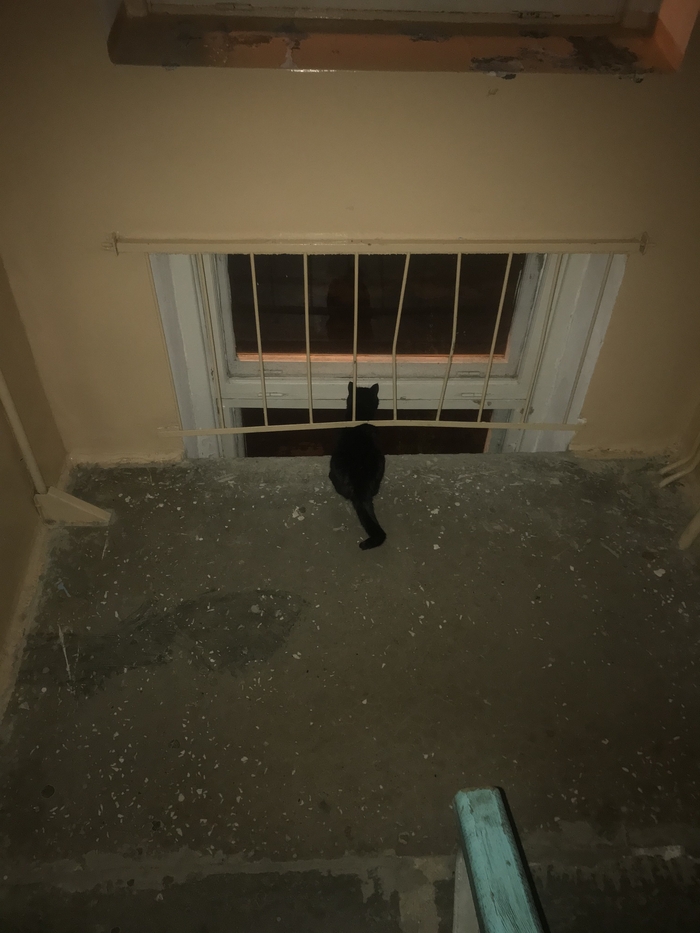 Вот вам Vantablack