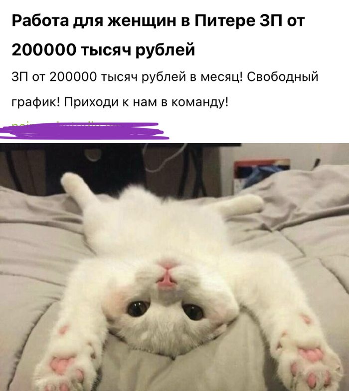  , , , , 