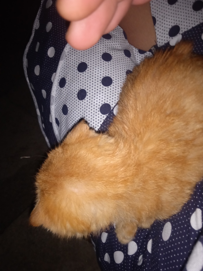 �����������: ��������� ������