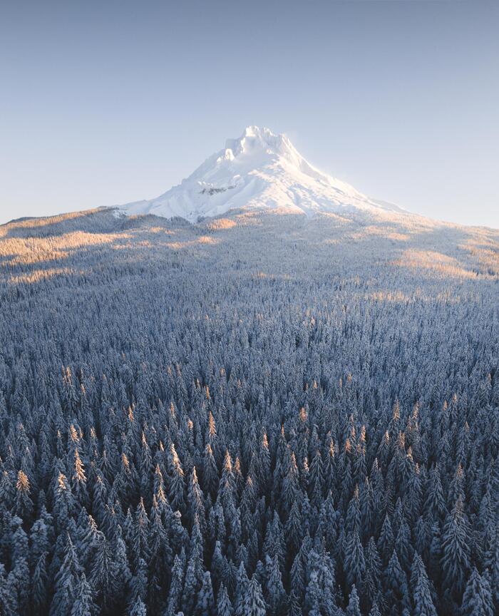Безмолвное величие
