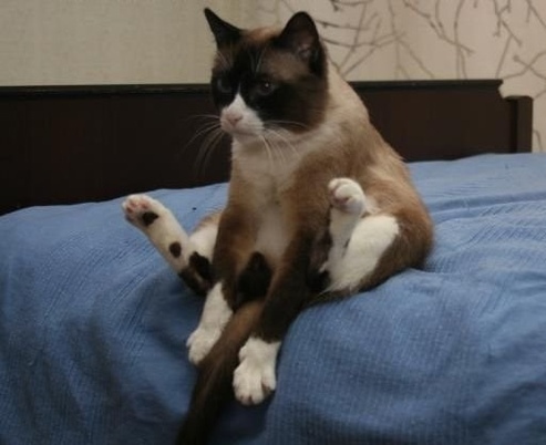 �� ����� �������,