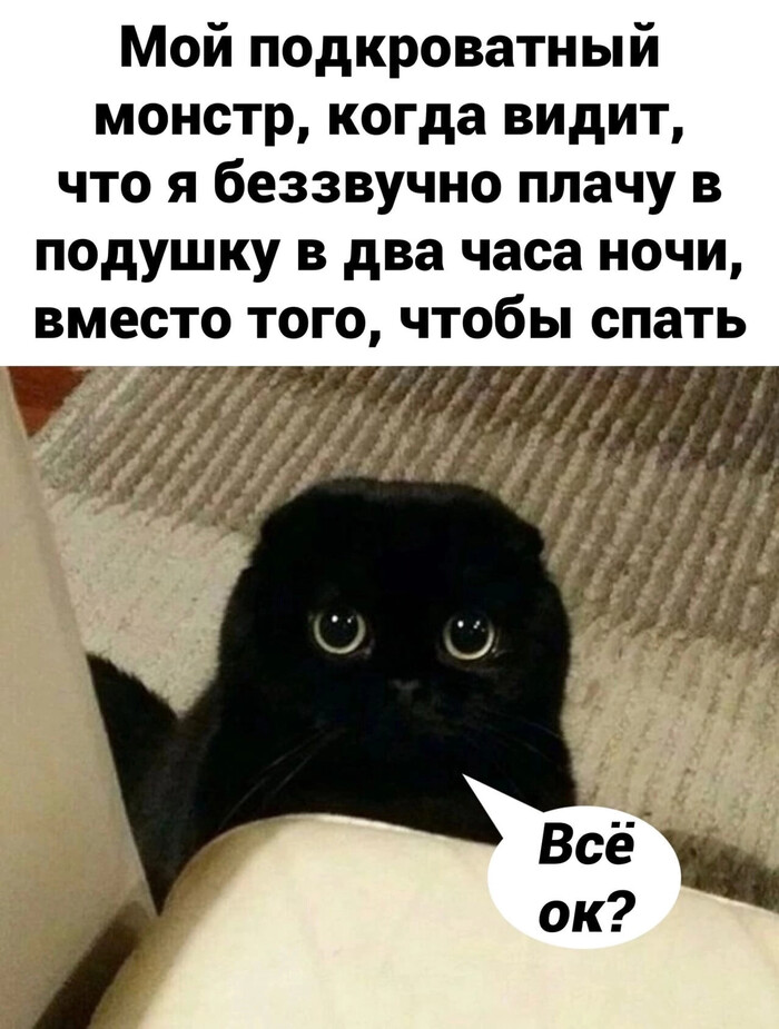  -     , , 