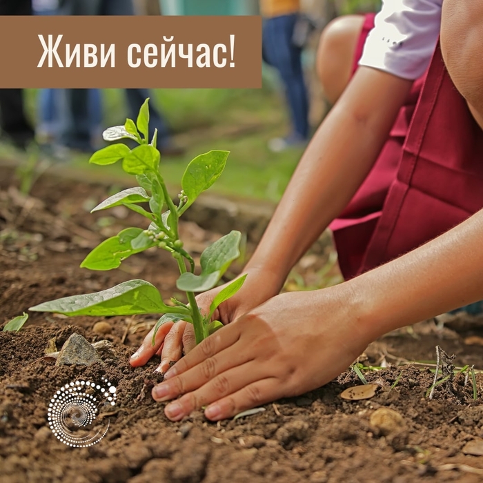 ���� ������!