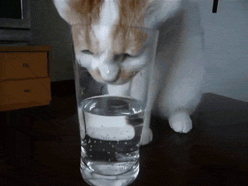      , , , 