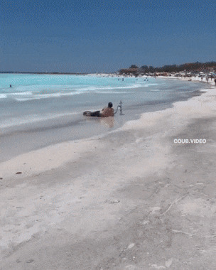   , , , 