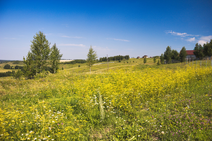 ����� ������������ ������. ����� 27.07.2018 � 10:13