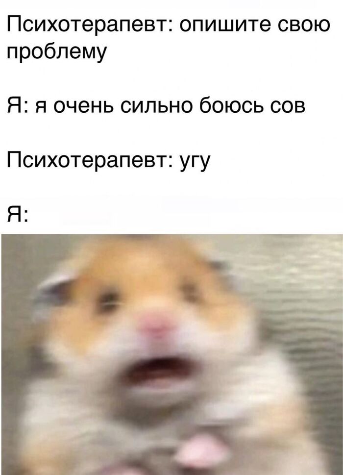  ,   , Telegram, , , , , 