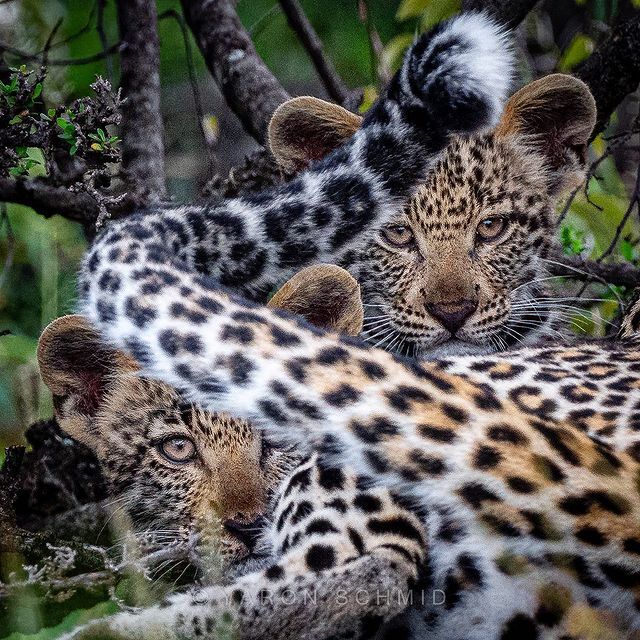 (Не)удачное фото