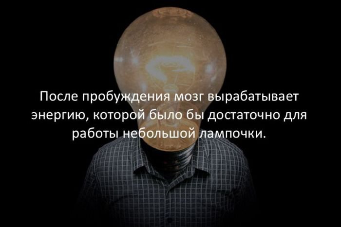 Факт! | Пикабу