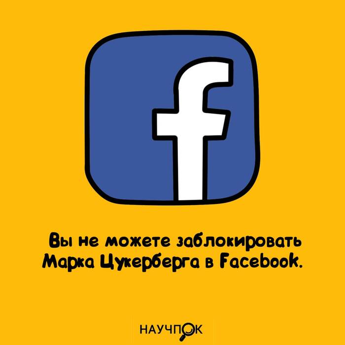   Facebook,  