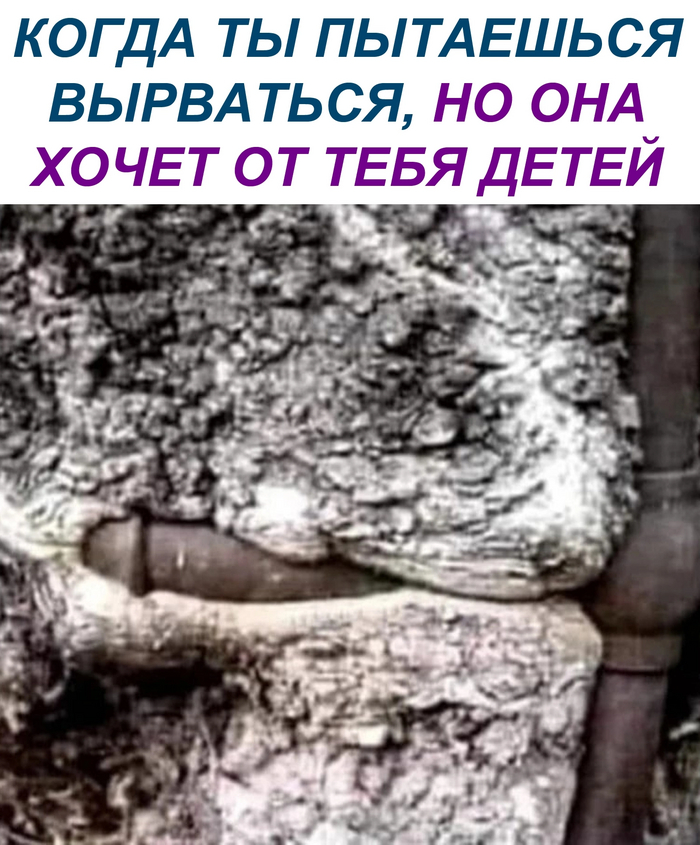   , , , ,   