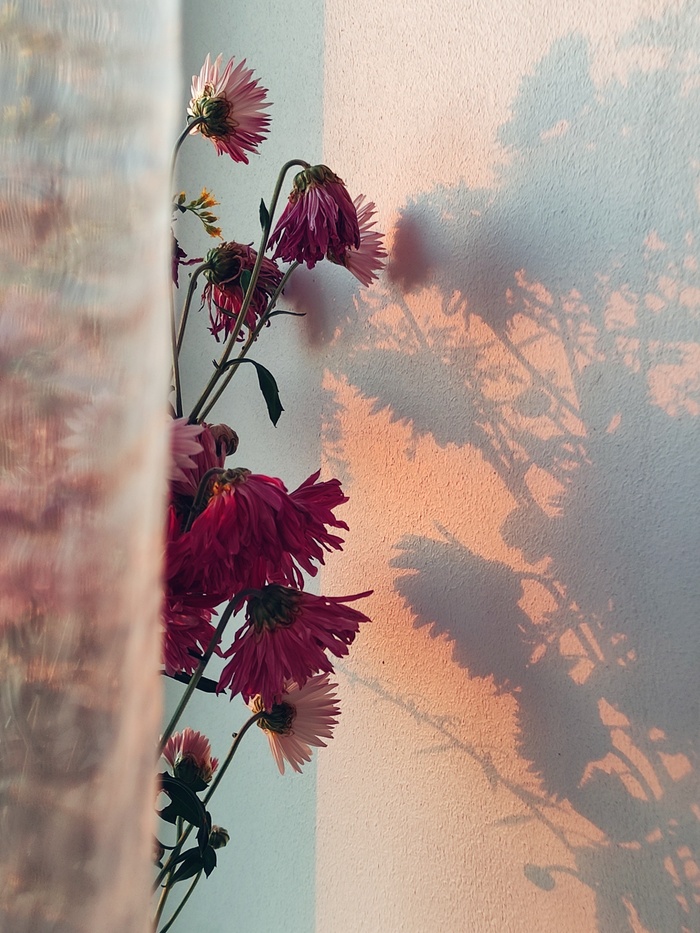 ������� �����