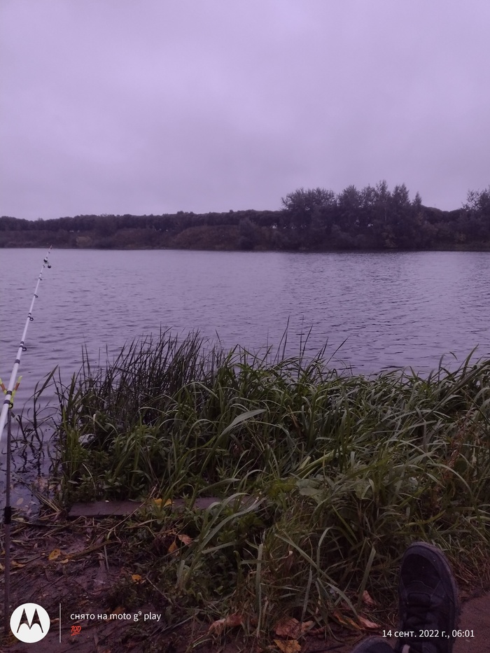 ����. ���� � ������