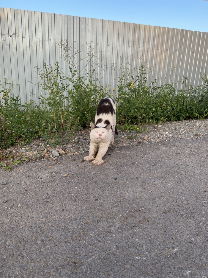 ��������� ����� ������