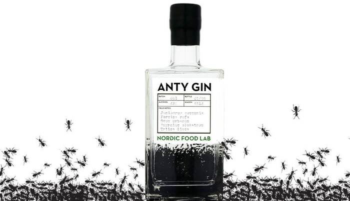 Anty Gin -     62  , , , , 