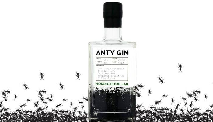 Anty Gin - ������� ����� ������ ������� 62 �������