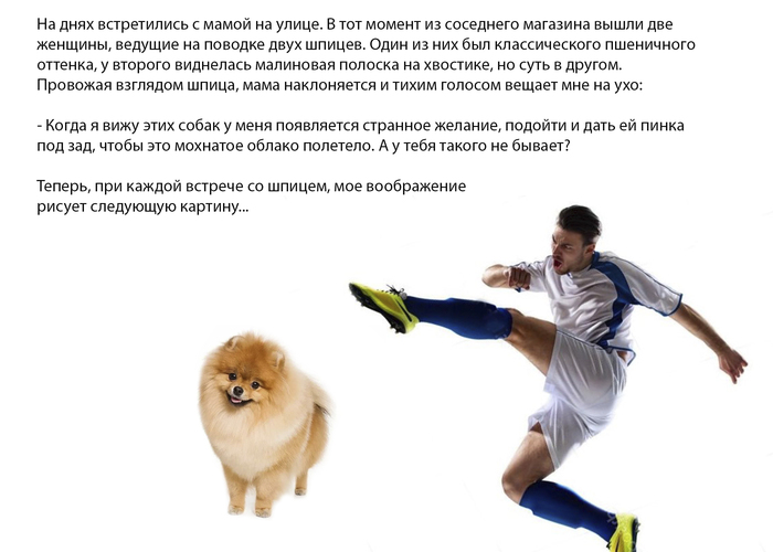 ������ �������, ������� ����� ���� � ���� ����� ����� ����������� �������