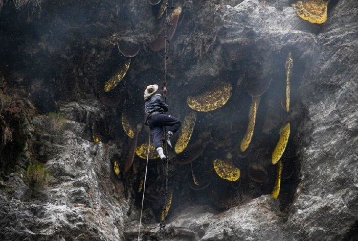 �����������, �� ���� ��� ����� ���� ��������� �������