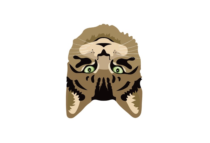 Ребус от Романа для тренировки мозга и расширения кругозора. Тема: правила разгадывания ребусов. Перевернутое изображение