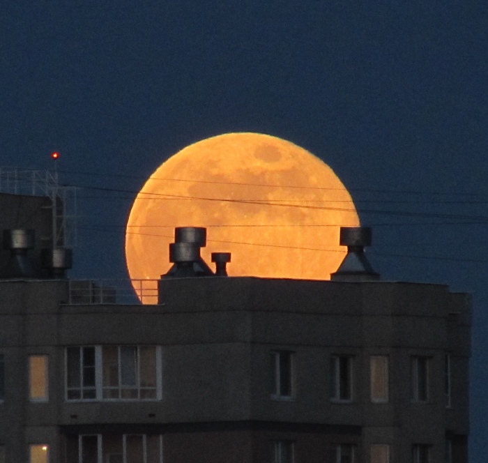 ���� �� �����