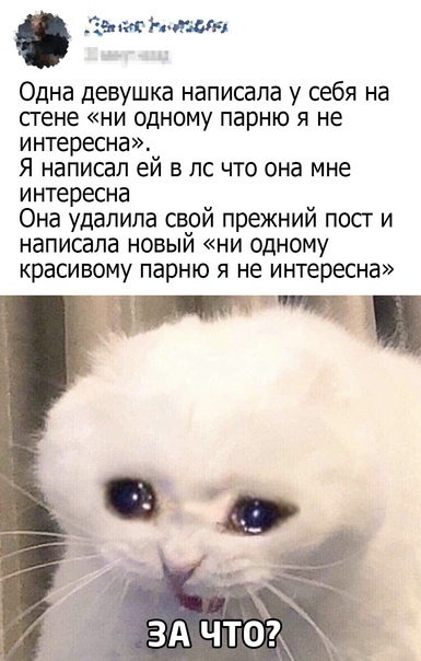         , 