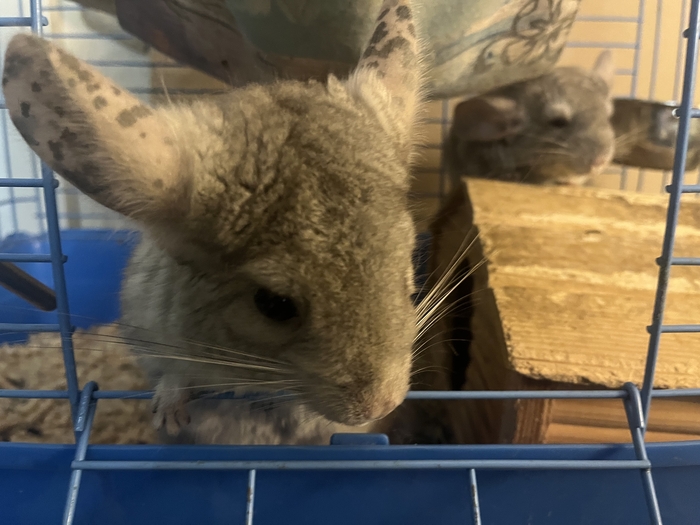 ����� ������� � ������� ����