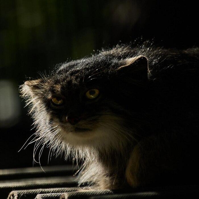 �� ������ �� ��������