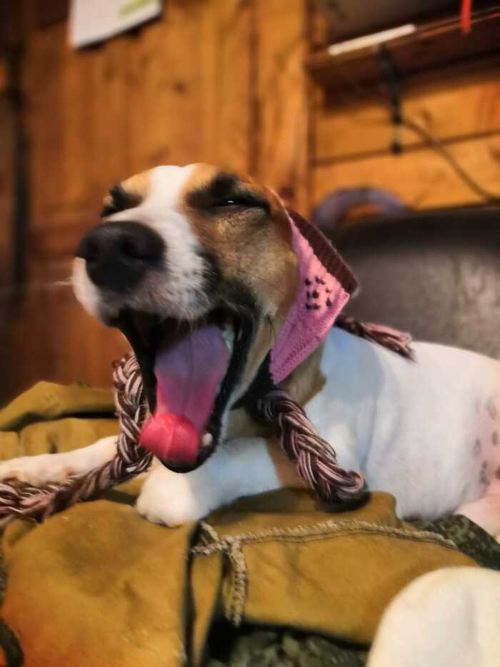 �������