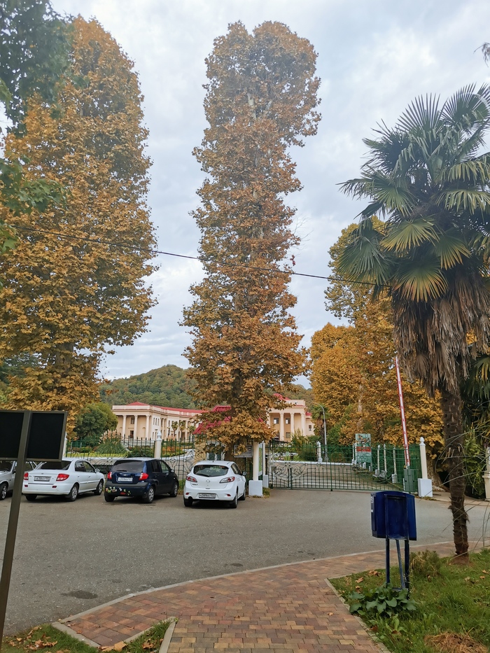 А в Сочи приходит осень