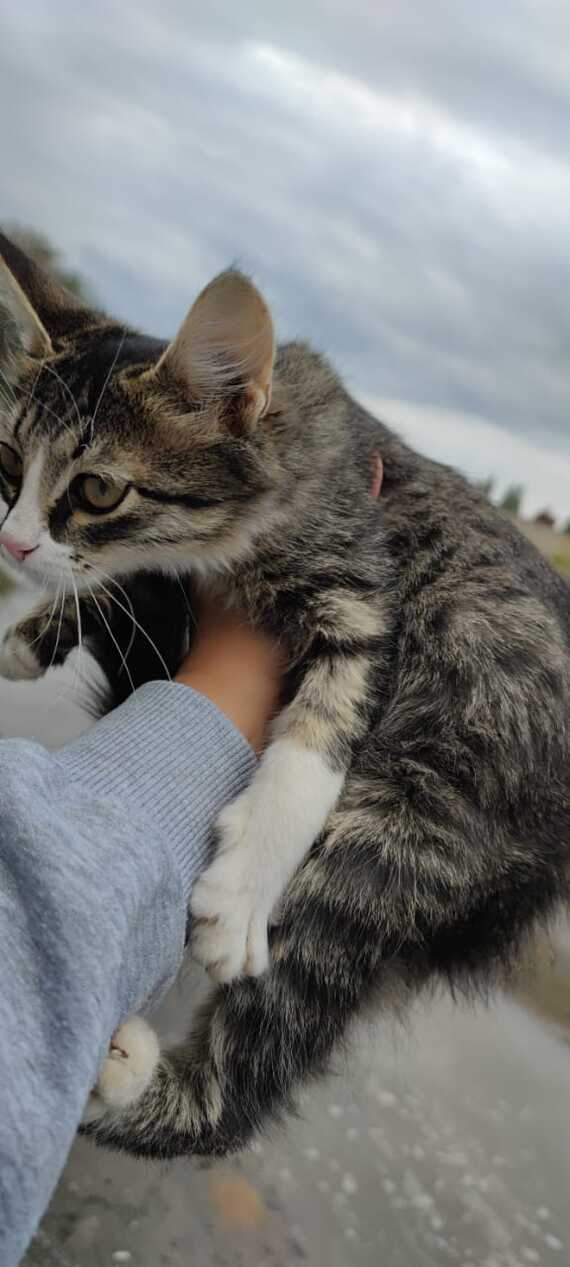 ������. ��������. ���� ������������� ���������