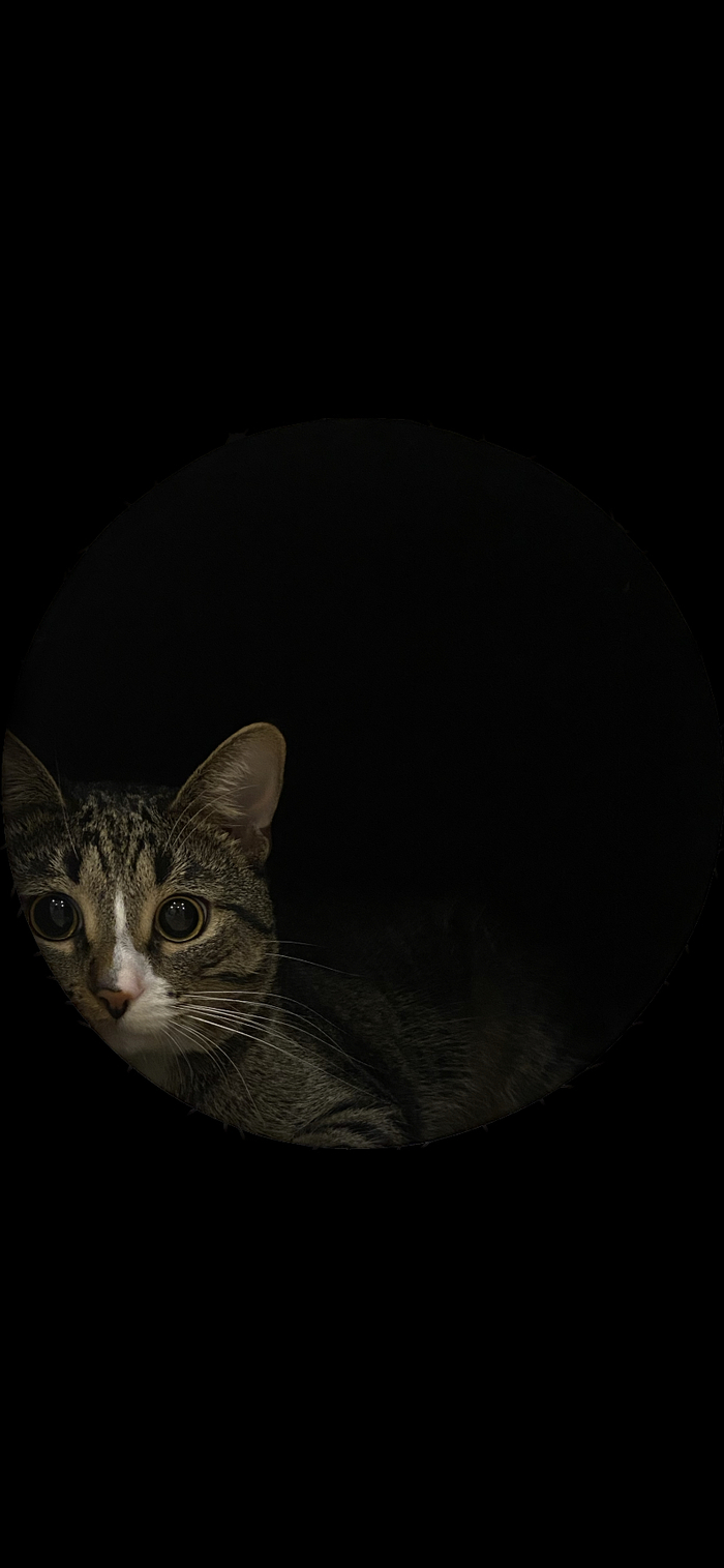 ����� ��� ����