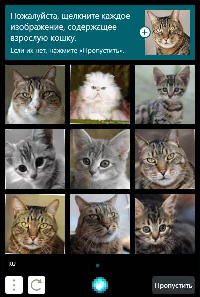 ����� ����� �����