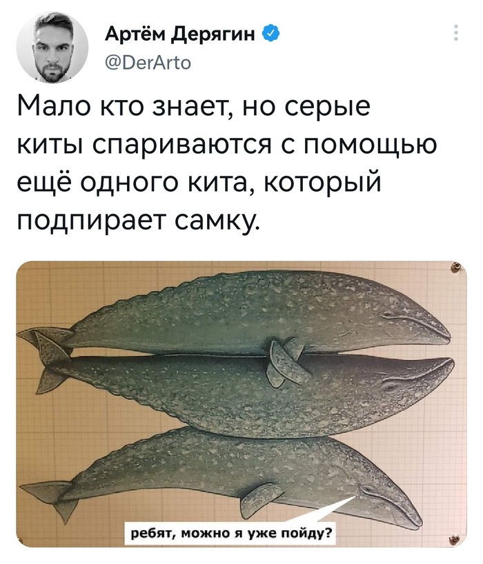    , , X (Twitter), , , , 