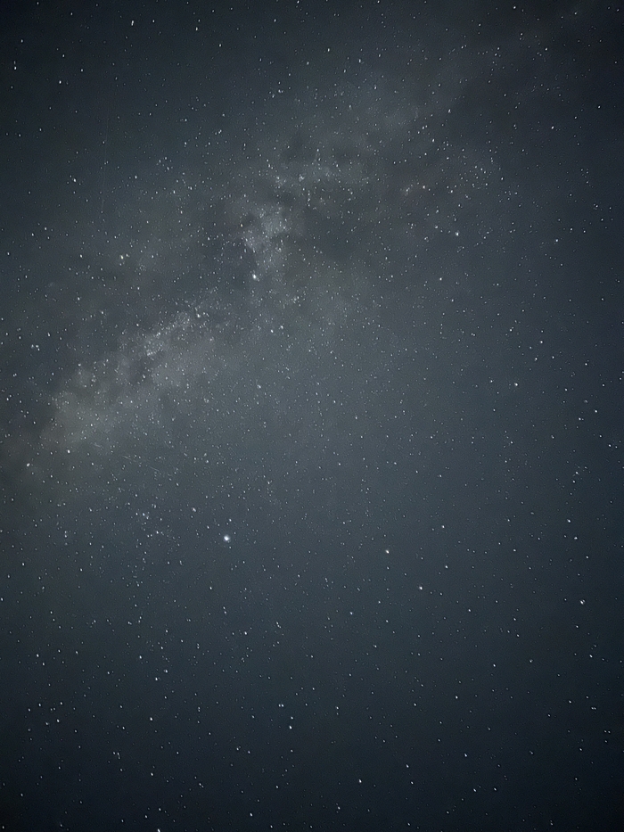 ������ ���� ���������