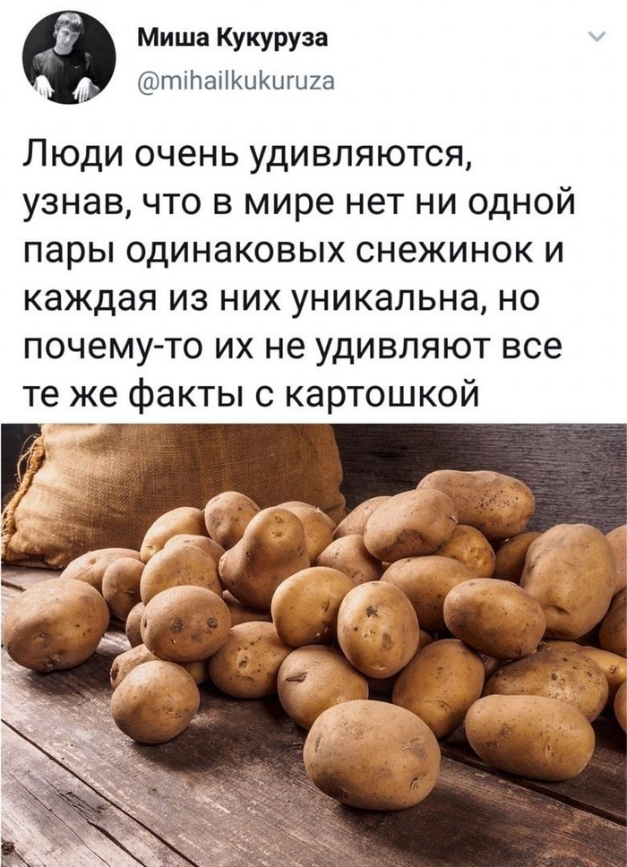   ,   , Telegram, X (Twitter), , , , , , 