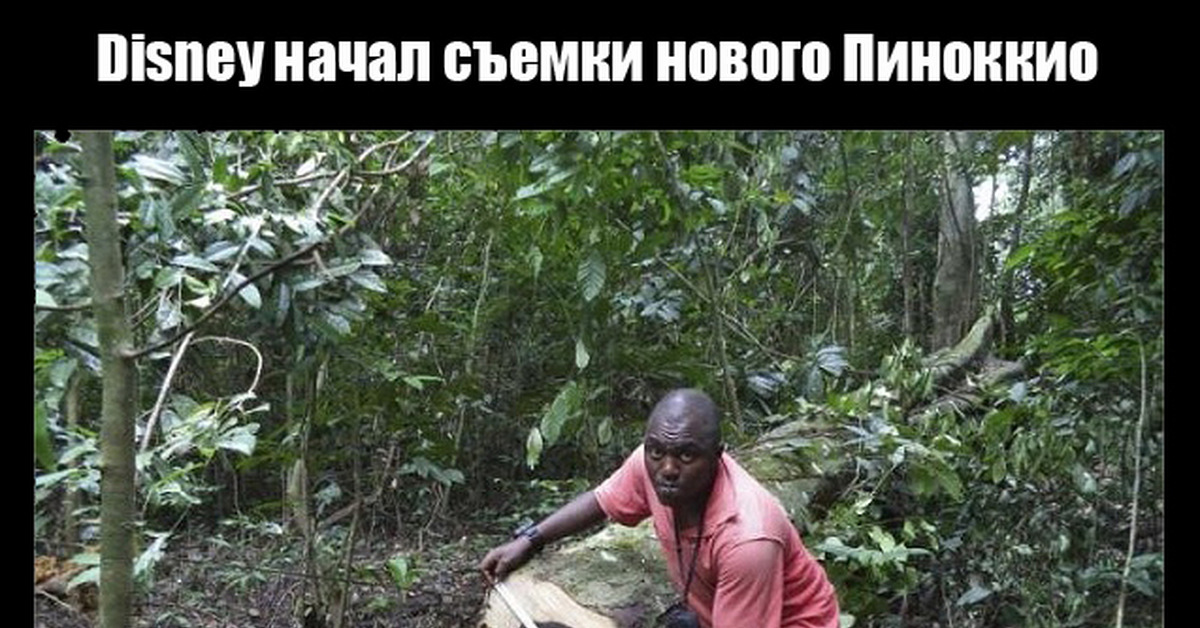 Пиноккио | Пикабу